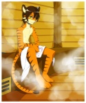 barefoot bodily_fluids border brown_hair clothed clothing feet green_eyes hair inside male sauna solo steam stripes sweat tail topless towel white_border oouyuki_benten saba felid mammal pantherine tiger