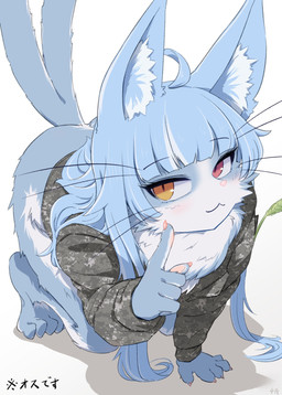 5_fingers 5_toes ahoge all_fours anthro barefoot blue_body blue_fur blue_hair blush bottomless bottomless_anthro camo camo_clothing camo_print claws clothed clothing countershading feet femboy finger_claws fingers fluffy forked_tail fur hair heterochromia jacket kemono long_hair looking_at_viewer male male_anthro multicolored_body multicolored_fur neck_tuft pattern_clothing pink_nose pupils red_eyes slit_pupils solo tail text toes topwear tuft two_tone_body two_tone_fur unusual_anatomy unusual_tail whiskers white_body white_fur yellow_eyes 4shi_(artist) japan_air_self-defense_force omaneko_(jasdf) domestic_cat felid feline felis mammal 2023 digital_media_(artwork) hi_res japanese_text translated
