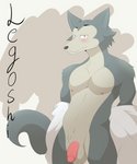 anthro balls blush clothed clothing flaccid genitals looking_at_viewer male nervous partially_clothed penis presenting shy simple_background solo standing alex_kitsune beastars legoshi_(beastars) canid canine canis mammal wolf 5:6 absurd_res hi_res