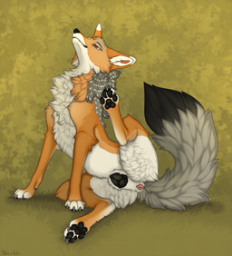 anatomically_correct anatomically_correct_feral anatomically_correct_genitalia animal_genitalia animal_vulva black_nose black_pawpads black_tail_tip black_vulva brown_body brown_fur canine_genitalia canine_vulva claws dipstick_tail female feral fur genitals grey_claws grey_tail markings pawpads realistic_feral red_eyes scratching solo tail tail_anus tail_markings vulva whiskers white_body white_fur a.o.kigahara_(artist) taka_(artist) canid canine canis jackal mammal artist_collaboration hi_res