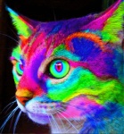 ambiguous_gender black_background blue_body blue_eyes blue_fur blue_nose feral fur green_body green_eyes green_fur green_nose looking_away multicolored_body multicolored_eyes multicolored_fur orange_body orange_eyes orange_fur orange_nose pink_body pink_eyes pink_fur pink_nose psychedelic purple_body purple_eyes purple_fur purple_nose rainbow rainbow_body rainbow_eyes rainbow_fur real red_body red_eyes red_fur red_nose simple_background solo sparklefur yellow_body yellow_eyes yellow_fur yellow_nose epilepsy_warning unknown_artist domestic_cat felid feline felis mammal animated bust_portrait colorful_theme grandfathered_content portrait