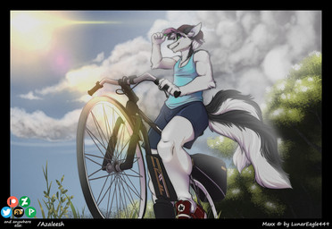 anthro bicycle bottomwear clothed clothing cloud cycling male mountain_bike outside shirt shorts solo sun topwear vehicle azaleesh maxx canid canine mammal