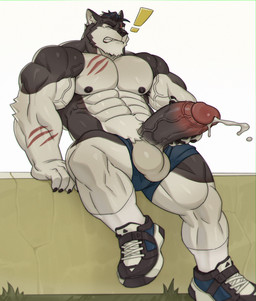 abs anthro areola arm_scar balls barazoku biceps big_balls big_penis black_areola black_clothing black_footwear black_hair black_nipples black_shoes black_sneakers blue_bottomwear blue_clothing blue_shorts bottomwear chest_scar claw_marks claws clenched_teeth clothed clothing deltoids ejaculation erection exclamation_point eye_scar eyes_closed facial_scar finger_claws footwear forearm_muscles fur genitals glans grass grey_body grey_fur hair leaning_on_wall male masturbation multicolored_body multicolored_fur muscular muscular_anthro muscular_male muscular_thighs navel nipples obliques open_bottomwear open_clothing open_shorts orgasm pecs penis plant scar serratus shoes shorts socks solo teeth topless triceps two_tone_body two_tone_fur vein veiny_muscles veiny_penis white_body white_clothing white_footwear white_fur white_socks imato tokitechie canid canine canis domestic_dog husky hybrid mammal nordic_sled_dog spitz wolf 2025 hi_res