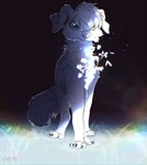 ambiguous_gender aurora_(phenomenon) blue_body feral fluffy fur hair looking_at_viewer night paws smile solo star tail white_body white_fur white_hair shyryp canid canine canis domestic_dog mammal absurd_res digital_media_(artwork) hi_res