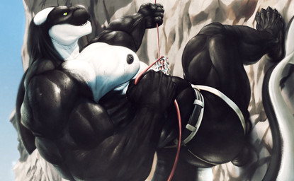 anthro biceps big_muscles bodily_fluids butt cliff climbing clothing exercise fin huge_muscles jockstrap male muscular muscular_anthro muscular_male nipples outside pecs quads rock solo sweat underwear workout allandox york_(yerkelayh) aquatic cetacean dolphin mammal oceanic_dolphin orca toothed_whale 2021 hi_res