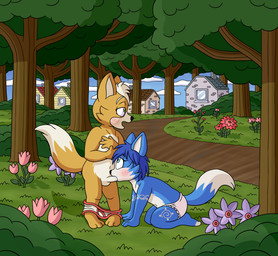 anthro bodily_fluids briefs clothed clothing cum day duo erection fellatio female forest genital_fluids genitals humanoid_genitalia humanoid_penis male oral outside panties penile penis plant sex topless tree underwear young danel nintendo star_fox fox_mccloud krystal_(star_fox) canid canine fox mammal hi_res
