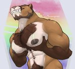 anthro barazoku beard big_muscles big_pecs biped body_hair chest_hair eyes_closed facial_hair fangs fur humanoid_body_hair male muscular muscular_anthro muscular_male navel nipples pec_grab pec_squeeze pecs pubes simple_background solo teeth tambangwoof cougar felid feline mammal hi_res