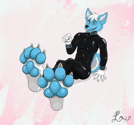 anthro claws clothing collar cuffs_(clothing) feet foot_focus gesture hand_gesture latex latex_clothing male pawpads paws pointing solo libel canid canine canis domestic_dog husky mammal nordic_sled_dog spitz hi_res