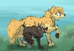 adult_on_young age_difference animal_genitalia animal_pussy canine_genitalia canine_pussy environment female feral genitals grass_field jumping male pussy standing walking young young_female young_feral younger_male toxicfcknworld toxic_(toxicfcknworld) canid canine canis mammal maned_wolf wolf absurd_res hi_res