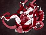 anal anal_penetration butt erection fur genitals knot lifted male paws penetration penis solo tail tentacles husgryph shokly~ sergal