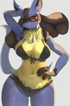 anthro bikini breasts camel_toe clothing female female_anthro front-tie_bikini front-tie_clothing front-tie_swimwear looking_at_viewer solo swimwear triangle_bikini two-piece_swimsuit hopping4 nintendo pokemon generation_4_pokemon lucario pokemon_(species) 2:3 absurd_res hi_res