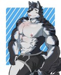 abs anonymous_artist anthro archermagnum black_body black_fur clothing fur hi_res male muscular muscular_male solo tail thunderrangers underwear white_body