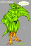 anthro beak clothing feathers green_body green_feathers grey_background male mascot muscular navel simple_background smug solo spandex speech_bubble speedo swimwear text tight_clothing winged_arms wings tekitourabbit_(artist) duolingo duo_(duolingo) avian bird owl 2:3 digital_media_(artwork) japanese_text meme translation_request url