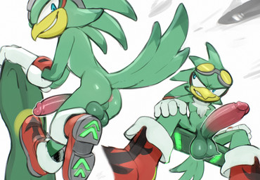 anthro anus backsack balls beak big_balls big_penis butt chest_tuft clothing erection eyewear eyewear_on_head feathers footwear footwear_only genitals glans gloves goggles goggles_on_head green_body green_feathers grin handwear hoverboard huge_penis humanoid_genitalia humanoid_penis male mostly_nude penis shoes shoes_only sitting smile solo tail tail_feathers teeth toothed_beak tuft meatshaq sega sonic_riders sonic_the_hedgehog_(series) jet_the_hawk accipitrid accipitriform avian bird absurd_res hi_res