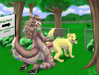 anatomically_correct anatomically_correct_genitalia anatomically_correct_penis animal_genitalia animal_penis anthro anthro_on_feral anthro_penetrating bestiality big_penis canine_genitalia canine_penis dog_park duo feral feral_penetrated genitals grass_field hyper knot knotted_penis looking_pleasured male male/male paws penetration penis public public_nudity public_sex sex sign tail tail_grab tongue tongue_out stinkycoyote canid canine canis domestic_dog mammal 4:3 absurd_res hi_res