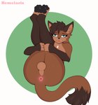 anthro anus balls brown_body brown_fur butt fur genitals hair legs_up looking_at_viewer male nude pawpads paws presenting presenting_hindquarters simple_background smile solo tail tail_anus tongue tongue_out hemelarix canid canine mammal digital_media_(artwork) hi_res