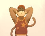 anthro baseball_cap bottomless brown_body brown_eyes brown_fur clothed clothing fur hair hands_behind_head hat headgear headwear looking_at_viewer male midriff navel red_baseball_cap red_clothing red_hat red_headwear simple_background smile solo tail topwear hollo_nut donkey_kong_(series) nintendo diddy_kong haplorhine mammal monkey primate 2022 half-length_portrait portrait