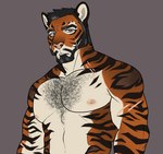 anthro beard black_beard black_facial_hair black_hair body_hair brown_background chest_hair facial_hair facial_markings front_view fur grey_eyes hair head_markings looking_at_viewer male markings muscular muscular_anthro muscular_male narrowed_eyes nipples orange_body orange_fur pink_nose short_hair simple_background solo striped_arms striped_body striped_face striped_fur striped_neck stripes white_body white_fur demireality felid mammal pantherine tiger half-length_portrait portrait