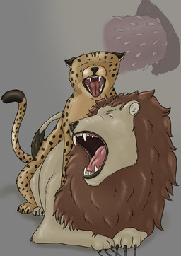 anal anal_penetration anus claws digitigrade duo erection feet feral feral_on_feral feral_penetrated feral_penetrating feral_penetrating_feral genitals hindpaw larger_sub male male/male male_feral male_penetrated male_penetrating male_penetrating_male open_mouth paws penetration penile penile_penetration penile_spines penis penis_in_ass quadruped sex size_difference submissive teeth_showing toe_claws tiny_terrible cheetah felid feline lion mammal pantherine hi_res