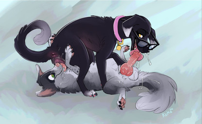 69_position animal_genitalia animal_penis animal_vulva anus balls belly bodily_fluids canine_genitalia canine_penis canine_vulva collar collar_tag cum cum_in_mouth cum_inside cum_on_face cumshot cunnilingus dripping duo ejaculation erection eyewear facesitting feet fellatio female female_on_top feral feral_on_feral foot_fetish foot_play footjob genital_fluids genitals glasses intraspecies knot knot_grab knotted_penis licking looking_back looking_pleasured male nose_in_pussy on_top oral paws penile penis penis_lick pink_belly pink_collar pink_vulva saliva sex sitting sitting_on_another smile smiling_at_another spiral spiral_eyes spots tongue tongue_out vaginal vulva wearing_glasses queenkoko pepik_(queenkoko) sam_(queenkoko) bird_dog border_collie canid canine canis collie domestic_dog herding_dog hunting_dog labrador mammal pastoral_dog retriever sheepdog absurd_res hi_res