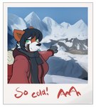 anthro backpack black_hair border breath clothing coat female gloves green_eyes hair handwear looking_at_viewer mittens mountain polaroid_photo scarf snow solo text topwear white_border karr_(artist) scp_foundation myra_(karr) ailurid mammal red_panda absurd_res handwritten_text hi_res
