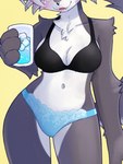 anthro black_bra black_clothing black_underwear blue_clothing blue_panties blue_underwear bottomwear bra clothed clothing container countershade_torso countershading cup female glass glass_container glass_cup ice_cube midriff navel obscured_eyes panties simple_background solo underwear water yellow_background unousaya canid canine canis domestic_dog mammal 2022 3:4 cropped