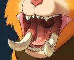 ambiguous_form bodily_fluids fangs fur male mouth_shot open_mouth saliva solo teeth tongue that_kei_guy league_of_legends riot_games tencent gnar_(lol) mammal yordle