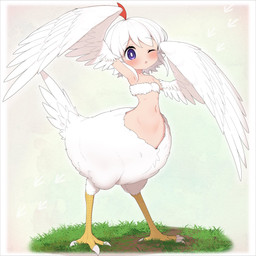 biped bipedal_taur blush feathered_wings feathers female flat_chested grass hair light_body light_skin naturally_censored navel on_grass on_ground one_eye_closed plant solo split_form white_body white_feathers white_hair winged_arms wings young young_female ransu_33 avian avian_taur bird chicken chicken_taur galliform humanoid_taur phasianid taur hi_res