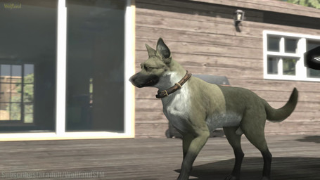 all_fours anatomically_correct animal_genitalia animal_penis animal_vulva ball balls being_watched blue_eyes bodily_fluids bouncing_balls brown_collar brown_eyes building canine_genitalia canine_penis canine_vulva close-up collar container cuddling cum cum_in_vagina cum_inside deck_(structure) doggystyle duo erection face_lick female female_penetrated feral feral_on_feral feral_penetrated feral_penetrating feral_penetrating_feral from_behind_position fur genital_fluids genitals grass house intraspecies knot knotted_penis knotting larger_male leaking_cum licking looking_at_another looking_pleasured male male/female male_penetrating male_penetrating_female mating_grip mounting open_mouth outside penetration penile penile_penetration penis penis_in_vagina plant rough_sex sex shaking_legs sheath showing_teeth size_difference smaller_female smaller_penetrated tongue tongue_out tree vaginal vaginal_knotting vaginal_penetration vulva walking wolfland subscribestar leila_(wolfland) timber_(wolfland) canid canine canis domestic_dog german_shepherd herding_dog mammal pastoral_dog 16:9 2025 3d_(artwork) 3d_animation animated digital_media_(artwork) hi_res high_framerate huge_filesize long_playtime no_sound source_filmmaker_(artwork) webm widescreen