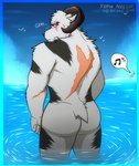 angry anthro back_scar black_body black_fur blush butt butt_pose fur looking_at_viewer looking_back looking_back_at_viewer male multicolored_body multicolored_fur muscular muscular_male nude offscreen_character partially_submerged pose rear_view scar solo two_tone_body two_tone_fur water white_body white_fur duskshield bovid caprine goat mammal 2021 hi_res