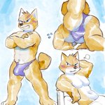 1:1 anthro armpit_hair band-aid bandage blush body_hair bulge butt canid canine canis clothing domestic_dog glitter_trap_boy hand_on_head heart_symbol hi_res male mammal muscular muscular_anthro muscular_male shiba_inu short_stack solo spitz tail underwear underwear_between_buttocks