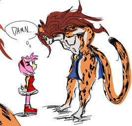 anthro bottomwear breasts clothed clothing duo evspicklist_(artist) featureless_breasts female intimidating_female loincloth loincloth_only looking_at_another muscular muscular_anthro muscular_female topless topless_female dc_comics sega sonic_the_hedgehog_(series) amy_rose cheetah_(dc) cheetah eulipotyphlan felid feline hedgehog mammal sketch