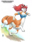 2006 big_breasts black_nose bottomless breasts canid canid_taur canine canine_taur clothed clothing dipstick_tail female fox fox_taur fur hair kacey life's_dream mammal mammal_taur markings navel open_mouth orange_body orange_fur pandora_whitepaw red_hair running solo tail tail_markings taur