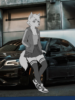 alternative_fashion anthro car clothing female footwear fur knee_highs knee_socks legwear punk socks solo sports_car sportswear vehicle white_body white_fur kawasakiwind adidas air_jordan_1 chrysler chrysler_300c jordan_(brand) nike lyubov_karpova canid canine mammal absurd_res hi_res