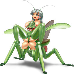 3_heads antennae_(anatomy) bodily_fluids breasts butt camel_toe crying female grey_hair hair insect_wings merging mid_transformation multi_head multi_mouth red_hair simple_background spread_legs spreading tears transformation what what_has_science_done white_background wings mo_dame_kuuki arthropod insect mantis monster 1:1 2015