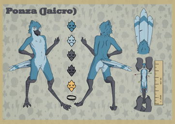 ambiguous_gender anthro beak butt feathers feet front_view looking_at_viewer male nude open_mouth puppet rear_view simple_background smile solo standing tail talons toes ponza00 ponza avian bird blue_jay corvid jay_(bird) new_world_jay oscine passerine absurd_res full-length_portrait hi_res model_sheet portrait