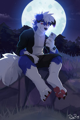 3_toes anthro black_bottomwear black_claws black_clothing black_jacket black_shorts black_topwear blue_body blue_fur bottomwear cellphone claws clothed clothing electronics feet floppy_ears front_view fur glistening glistening_eyes grass hair holding_cellphone holding_object holding_phone holding_smartphone jacket male moon narrowed_eyes night outside pawpads paws phone pink_eyes plant red_pawpads shorts sitting sky smartphone solo spread_legs spreading star toe_claws toes topwear tree white_body white_fur white_hair pache_riggs nintendo pokemon werewolf_(darwin_skyborne) canid generation_7_pokemon lycanroc mammal midnight_lycanroc pokemon_(species) 2:3 absurd_res hi_res signature
