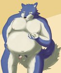 2012 anthro balls belly canid canine canis flaccid genitals hi_res humanoid_hands kemono male mammal moobs nipples overweight overweight_anthro overweight_male penis simple_background solo wdh3905 wolf