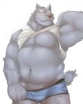 anthro big_muscles blush bodily_fluids clothed clothing clothing_lift embarrassed male musclegut muscular muscular_anthro muscular_male nipples shirt shirt_lift simple_background solo sweat teasing topwear underwear undressing white_background seikeikei2015 canid canine mammal 4:5 absurd_res hi_res