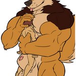 5_fingers animal_genitalia anthro balls biceps biped blep brown_body brown_fur brown_hair claws face_in_chest finger_claws fingers fully_sheathed fur genitals hair holding_character hug human_on_anthro hyper interspecies larger_anthro larger_male male muscular muscular_anthro muscular_male nude pecs sheath size_difference smaller_human smaller_male smile tail tongue tongue_out justagoodboy john_(justagoodboy) canid canine canis human mammal wolf 1:1 2023 digital_media_(artwork) flat_colors hi_res