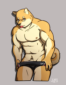 5_fingers anthro black_clothing black_underwear body_hair boxer_briefs clothing clothing_aside eyewear fingers flaccid genitals glasses grey_background hand_in_underwear happy_trail male muscular muscular_anthro muscular_male navel nipples penis penis_base pubes simple_background solo tongue tongue_out underwear underwear_aside undressing jeck canid canine canis domestic_dog mammal shiba_inu spitz 2015 dated signature