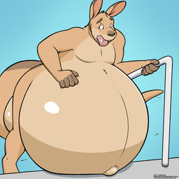anthro balls belly big_balls big_belly genitals hand_on_belly huge_belly hyper hyper_belly hyper_pregnancy male navel nude outie_navel pool pregnant pregnant_anthro pregnant_male solo cudacore cudacore_(cudacore) kangaroo macropod mammal marsupial 1:1 hi_res