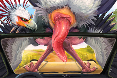 animal_genitalia avian_butt bashful beak blush bodily_fluids car cloaca cloacal_penis erection feathered_wings feathers feet feral genital_fluids genitals looking_away male needy nude penis presenting presenting_penis public raised_tail shy solo tail tail_feathers vehicle wings downsstream_(artist) accipitriform avian bird secretary_bird hi_res
