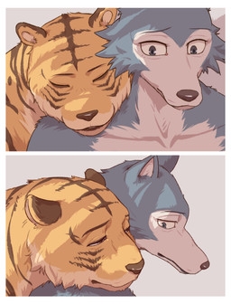 anthro biped brown_body brown_fur comforting duo eyes_closed eyes_mostly_closed front_view fur grey_body grey_fur inside looking_at_another male markings narrowed_eyes orange_body orange_fur sad side_view striped_markings stripes white_body white_fur sadness_hao beastars bill_(beastars) legoshi_(beastars) canid canine canis felid mammal pantherine tiger wolf absurd_res colored comic hi_res shaded