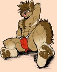 abs anthro athletic athletic_male blush bulge clothing fur male muscular muscular_male pecs solo underwear jwbash akita akita_inu canid canine canis domestic_dog mammal spitz absurd_res hi_res