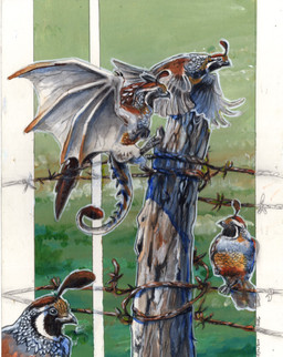 ambiguous_gender barbed_wire black_body black_eyes black_feathers black_scales brown_body brown_feathers brown_scales feathered_wings feathers fence fencepost feral flying grey_body grey_feathers grey_scales group horn membrane_(anatomy) membranous_wings outside perching scales wings heather_bruton avian bird bird_dragon california_quail galliform new_world_quail phasianid quail 2026 acrylic_painting_(artwork) colored_pencil_(artwork) painting_(artwork) traditional_media_(artwork) traditional_painting_(artwork)