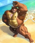 5_fingers 5_toes abs anthro beach beard big_muscles body_hair brown_body brown_fur brown_nipples brown_nose bulge chest_hair clothed clothing facial_hair feet fingers fur green_eyes hair happy_trail high-angle_view huge_muscles humanoid_feet humanoid_hands looking_at_viewer male mature_anthro mature_male muscular muscular_anthro muscular_male mustache nipples plantigrade sea seaside smile solo speedo swimwear toes topless water white_hair echin richard_baer bear mammal 2020 absurd_res hi_res