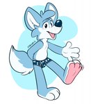 3_toes 4_fingers anthro blush blush_lines cheek_tuft clothed clothing facial_tuft featureless_chest feet fingers male multicolored_body open_mouth simple_background slightly_chubby slightly_chubby_male smiley_face solo standing tail toes tongue tuft underwear underwear_only whisker_spots manaozyfolf mana_(manaozyfolf) canid canine canis mammal wolf hi_res signature
