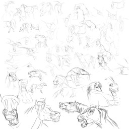 anatomically_correct anatomically_correct_genitalia anatomically_correct_vulva animal_genitalia animal_penis animal_vulva anus bodily_fluids cum duo equine_genitalia equine_penis equine_vulva erection female feral fisting genital_fluids genitals male penetration penis realistic sex simple_background solo vaginal vaginal_penetration vulva white_background gdane equid equine horse human mammal 1:1 black_and_white detailed digital_media_(artwork) krita_(artwork) monochrome sketch