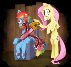 anthro blood blue_body blue_eyes blue_fur bodily_fluids bone bound brain chainsaw chair cutie_mark death eyelashes female fur furniture gore grin hair killing long_hair long_tail multicolored_hair multicolored_tail organs pink_hair pink_tail power_tool rainbow_hair rainbow_tail sitting skinny smile tail teeth teeth_showing text tongue tools wings yellow_body yellow_ears yellow_fur roverdose friendship_is_magic hasbro my_little_pony mythology pony.mov fluttershy_(mlp) rainbow_dash_(mlp) equid equine horse mammal mythological_creature mythological_equine pegasus pony artist_name hi_res signature